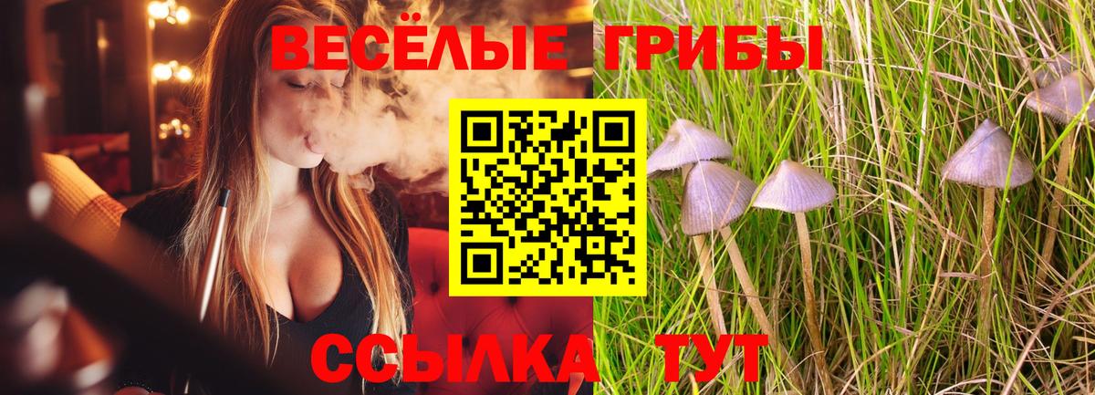 Галлюциногенные грибы ЛСД Лянтор